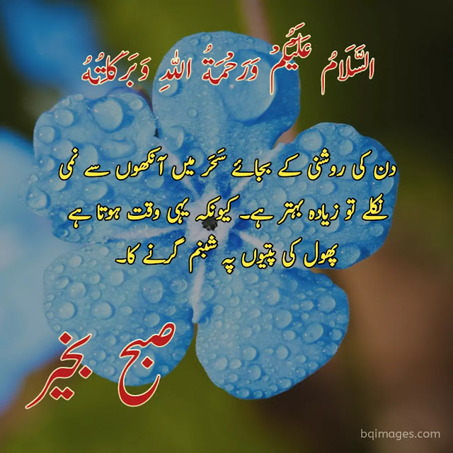 Good Morning Images In Urdu