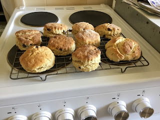 fruit scones