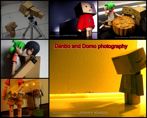 Danbo and domo photography by jimmy khoo