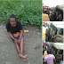 See The Woman Who Survived Accident That Killed All Passengers {Graphic Photos}