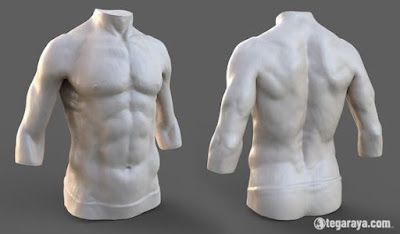 contoh seni patung torso tubuh manusia