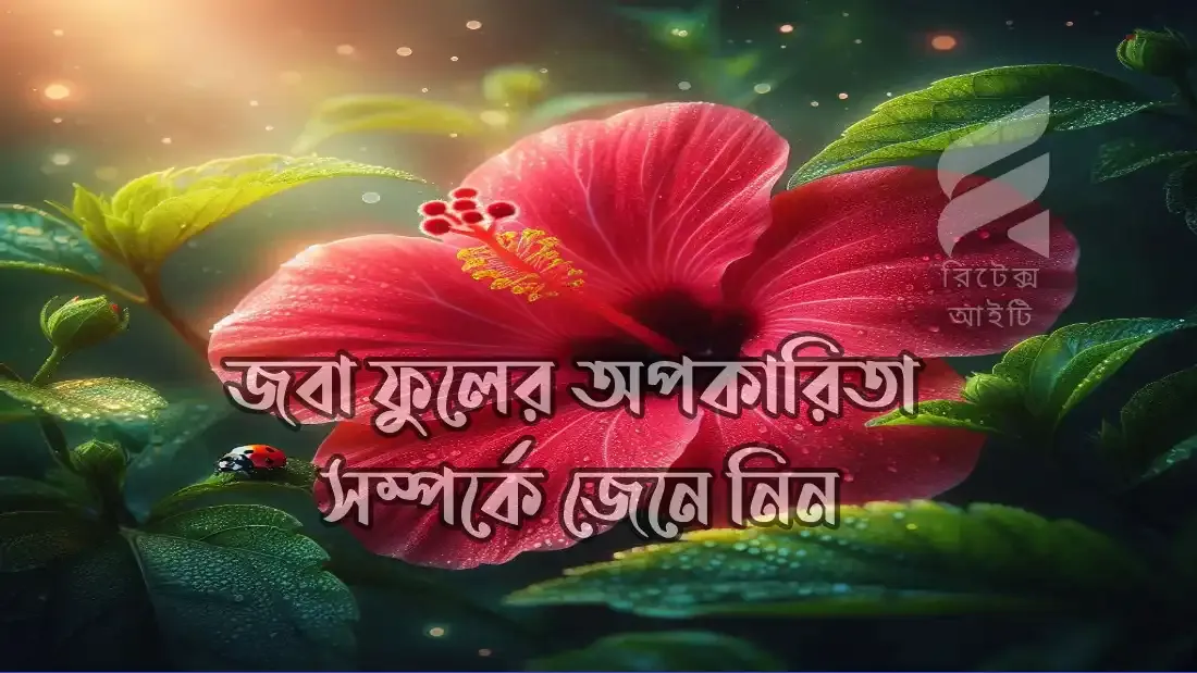 জবা-ফুলের-অপকারিতা
