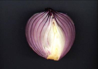 Onion - The Best Medicine For Flu