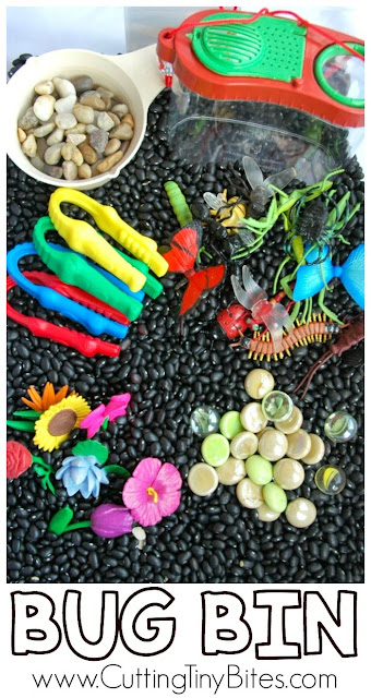 Insect Theme Homeschool Preschool