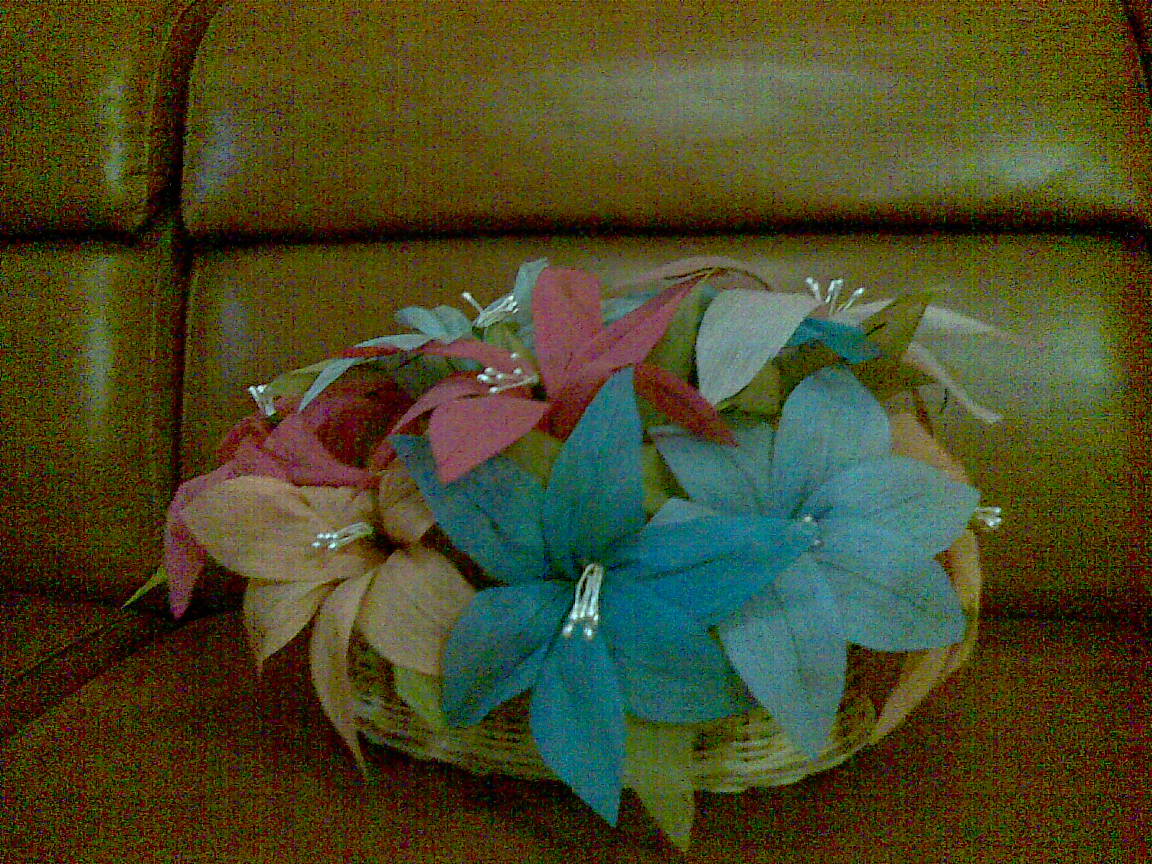 Novena s Collection Bunga  Lily dari  Kertas  Krep 