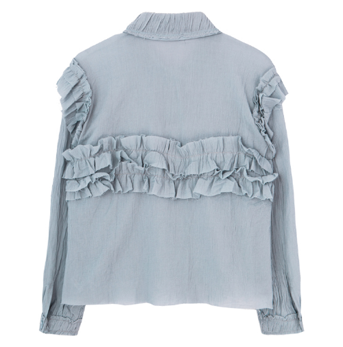 Crinkled Ruffled Accented Blouse