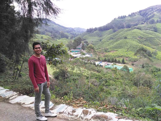 sungei palas cameron highland