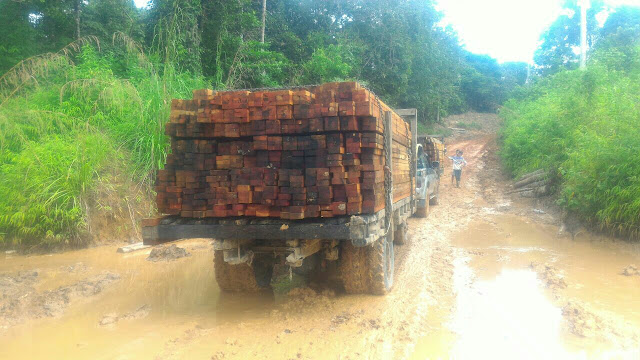 PERATURAN PENGANGKUTAN KAYU