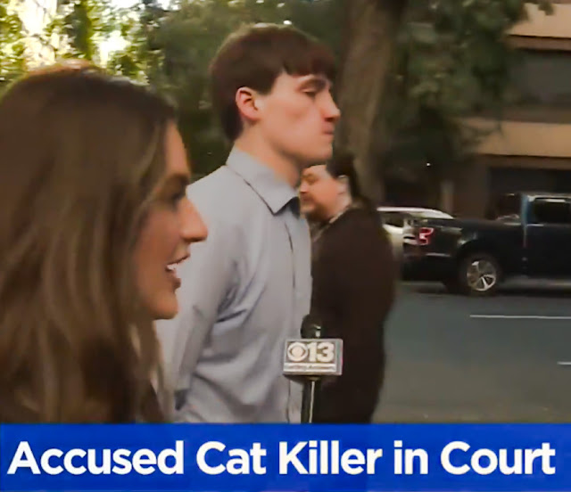 Accused cat killer in court