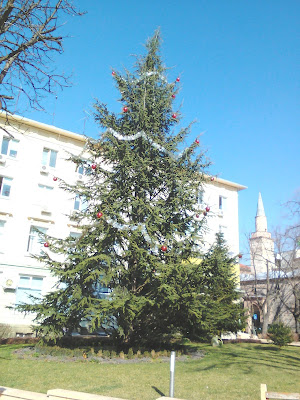 Christmas, Decorations, Yambol, Christmas Tree, February,