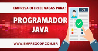 Programador Java