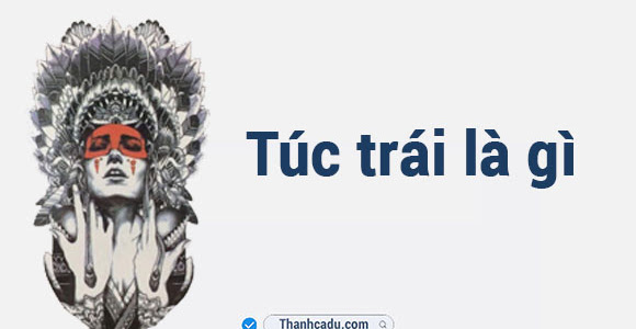 Túc trái là gì?