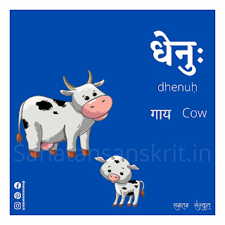 Cow (गाय) in Sanskrit