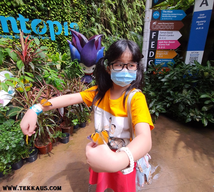 Entopia Penang Vita Nova Butterfly Release