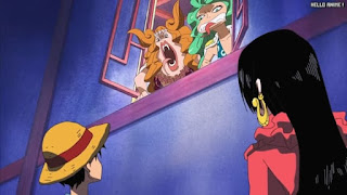 ワンピースアニメ 女ヶ島編 417話 サンダーソニア マリーゴールド | ONE PIECE Episode 417