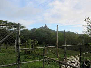 olomana