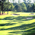 Golf Course Turf - Golf Grass