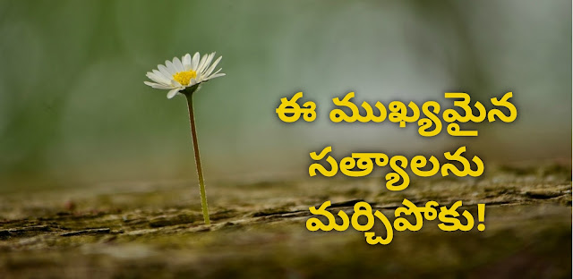 కొన్నిసార్లు చెడ్డవారు గెలిచినట్టు అనిపించవచ్చు గాని అంతిమంగా గెలిచేది ఎవరో తెలుసుకుంటే అవి అంతగా బాధపెట్టవు. దీనినే ఈరోజు వాక్యధ్యానంలో తెలుసుకుందాం.