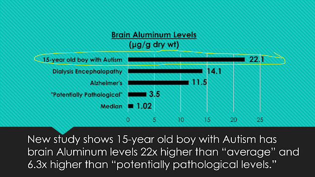 nuovo-studio-autismo-cervello-alluminio