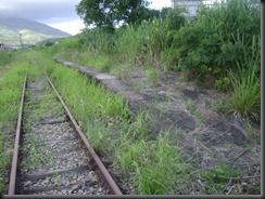 DSC00157_800x600