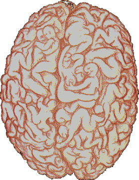 whatsonyourmind