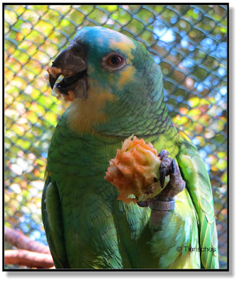 Tierpark Köthen