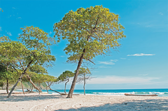 Playa Barrigona, Guanacaste