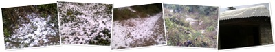 View Talwara Snowfall