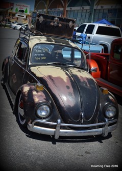 Vintage Bug