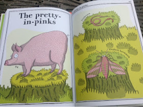 Pretty-in-pinks page with pig illustration 