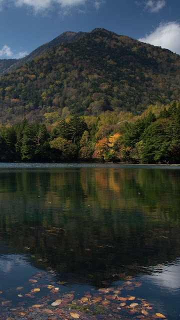 Hill, Forest, Lake, Reflection