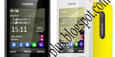 Nokia Asha 206 (RM-872)