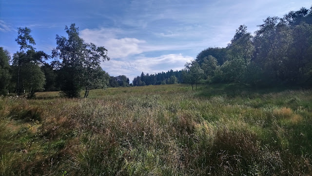 Sauerland wandern Wetter blog Schmallenberg Hunau X25 Hunauweg