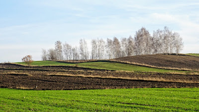 Zdjęcie: