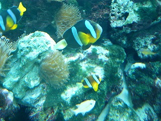 P1030776jpg