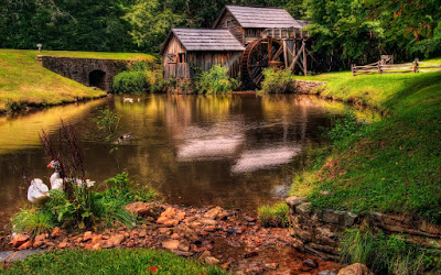 Casita junto al lago de los patos - Cottage