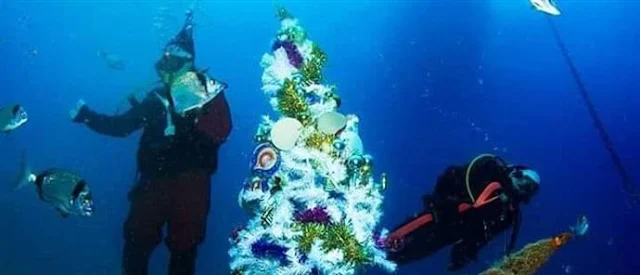 Υποβρύχιο χριστουγεννιάτικο δέντρο στόλισαν σε ναυάγιο στην Κύπρο (βίντεο)