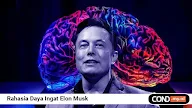 Cara Elon Musk Ingat Semua yang Dibaca dengan Teknik Unik