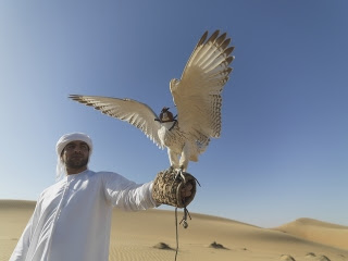 falcons