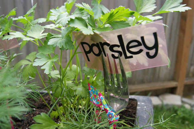 Herb garden markers with vinyl @michellepaigeblogs.com