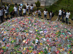 ACOPIO DEL PLASTICO PET