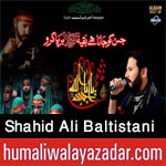 http://www.humaliwalayazadar.com/2016/08/shahid-ali-baltistani-nohay-2013-to-2017.html