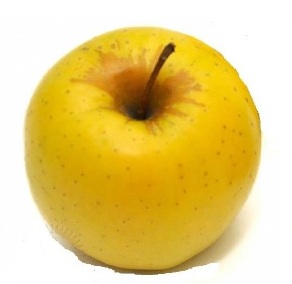 Незначительное оржавление воронки яблока (сорт Голден)