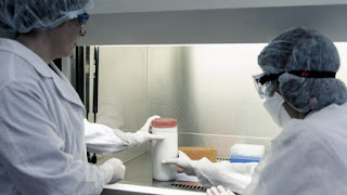 Coronavirus: ascienden a 528 las muertes y 16214 casos confirmados en el país