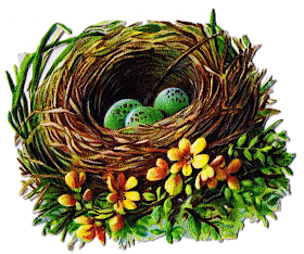 Free Printable Bird Nest Clip Art Royalty Free Antique Graphics from knickoftimeinteriors.blogspot.com