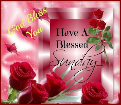  Happy Sunday Wishes