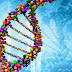 ДНК та гени