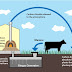 Kementerian #ESDM Dorong #Pesantren #Mandiri di Bidang #Energi #Terbarukan dengan #Biogas
