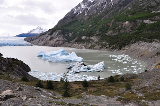 glaciar grey