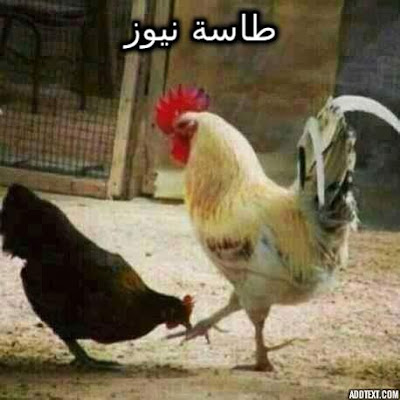 صباح الورد والفل والياسمين